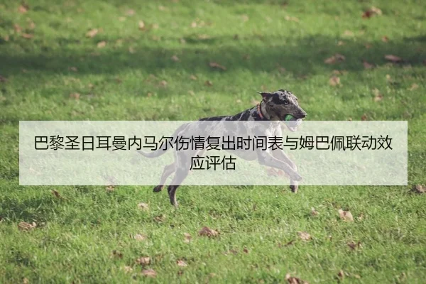 巴黎圣日耳曼内马尔伤情复出时间表与姆巴佩联动效应评估